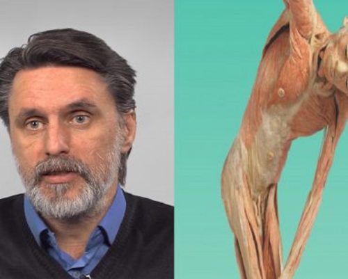 A sztárorvos nem kertel: ezért betegszenek meg az emberek 40 éves kor fölött!