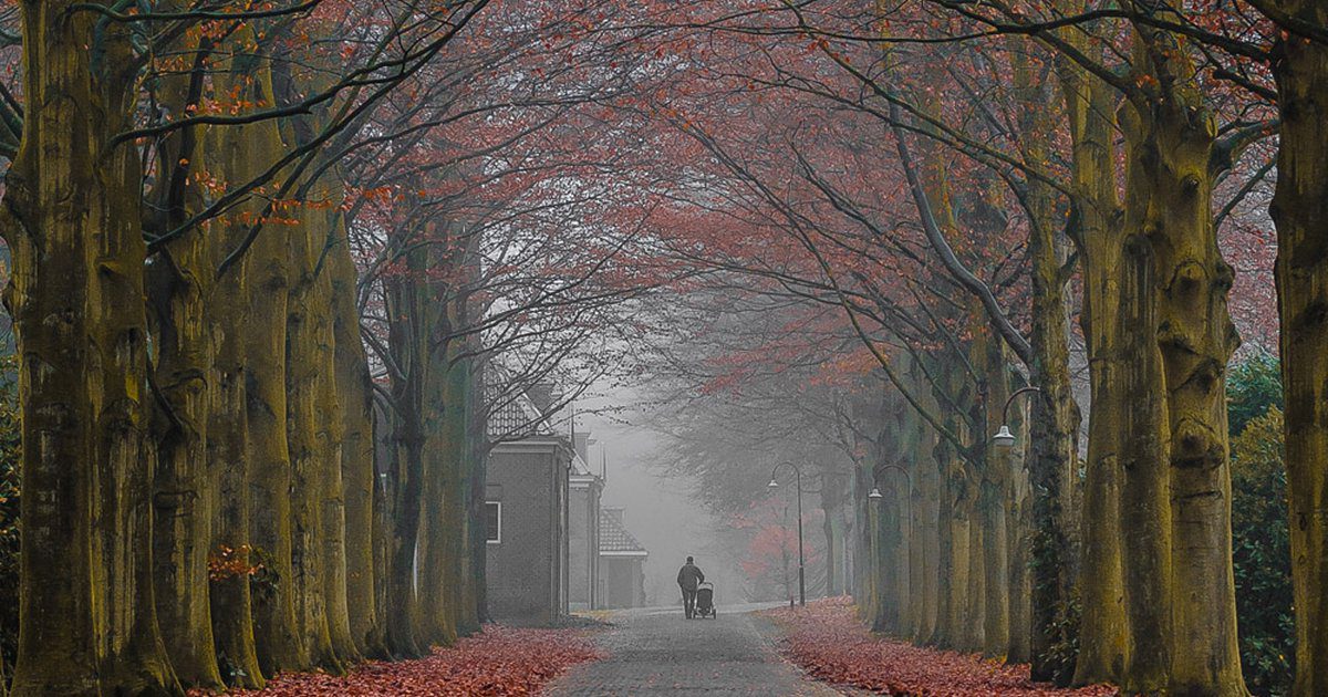 Amelyik hónapban születtél, olyan az életutad! Érdemes megismerned!