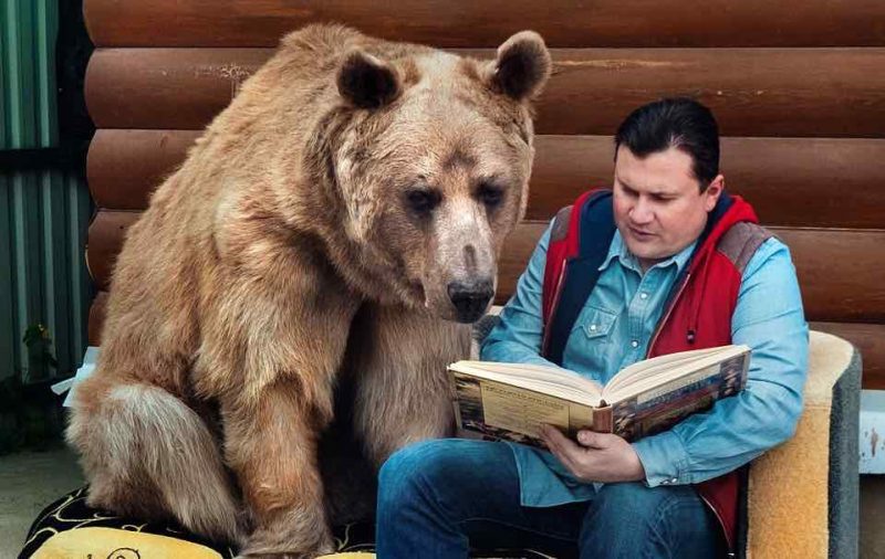 Egy árva kis medvét vesz magához a férfi – nézze, 23 év után milyen életük van együtt 1