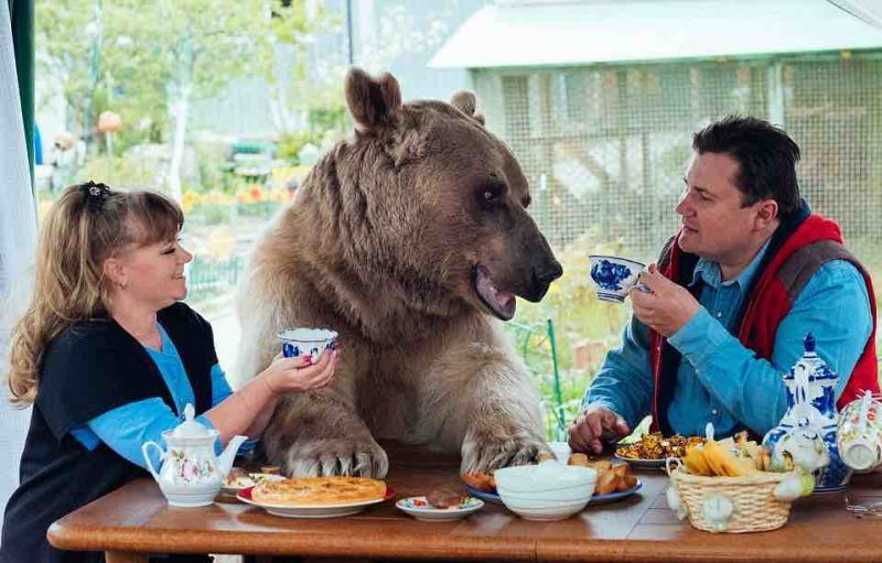 Egy árva kis medvét vesz magához a férfi – nézze, 23 év után milyen életük van együtt 3