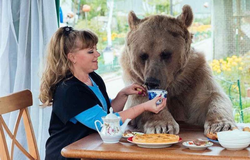 Egy árva kis medvét vesz magához a férfi – nézze, 23 év után milyen életük van együtt