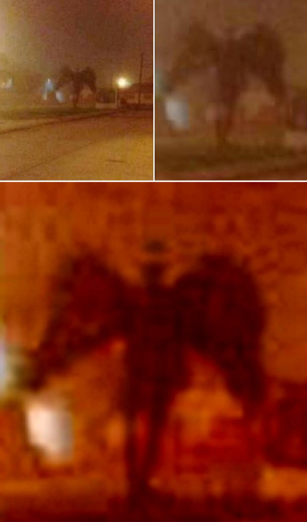 Hátborzongató dolgot fotózott a hajnali ködben egy rémült kocogó - VIDEÓ 1