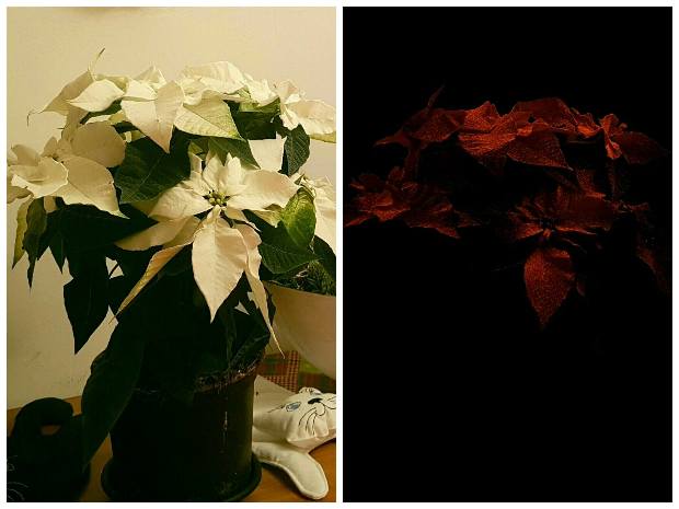 Meghódítja a világot ez a szédületes magyar találmány 1