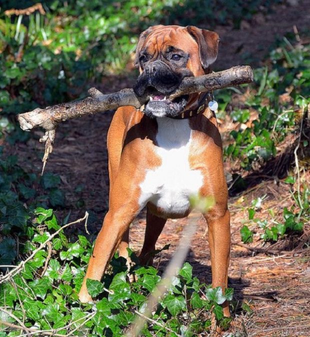 Rossz helyre dugják a pénzt a magyarok 5