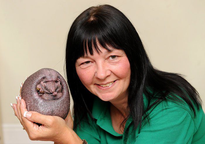 Úgy néz ki, mint egy közönséges kő… de amikor megfordítja kezét… 4