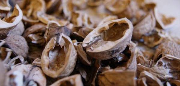 A dióhéj valódi csodát tesz a szervezettel! Nézd mennyi mindenre jó