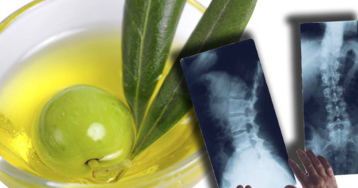 Eddig nem tudtuk, de az olívaolaj tényleg csodaszer - az olívaolaj az élet elixírje