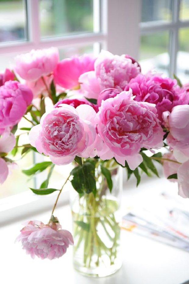 Ezt árulja el személyiségedről a kedvenc virágod 1