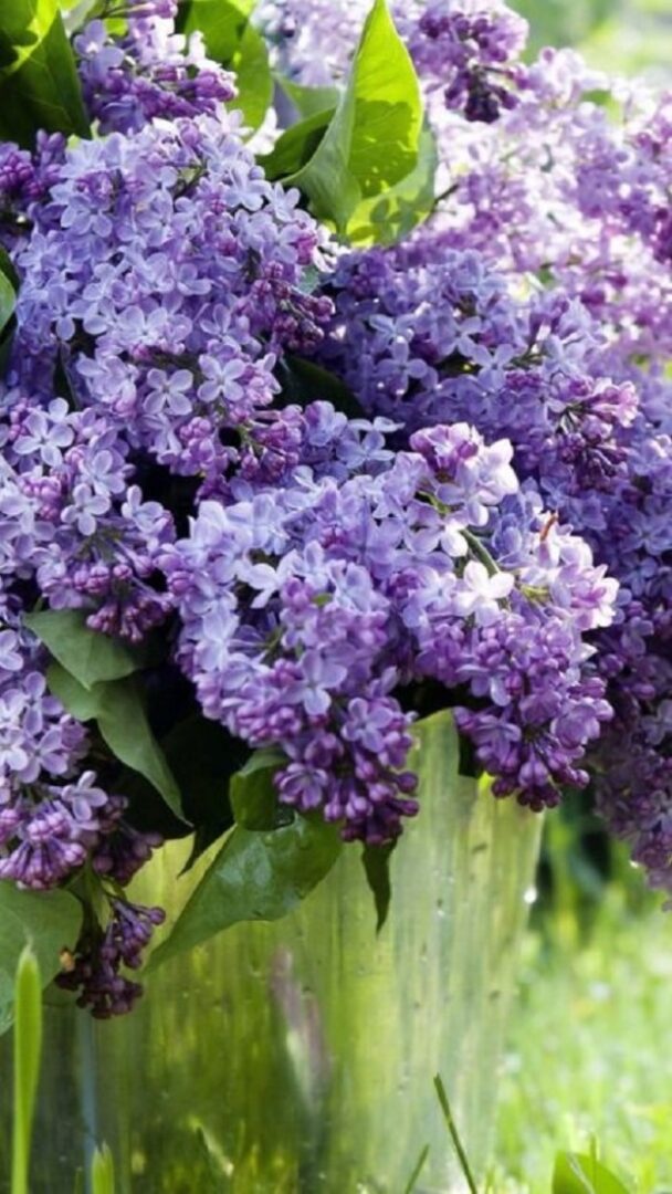 Ezt árulja el személyiségedről a kedvenc virágod 3