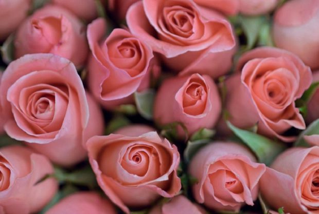 Ezt árulja el személyiségedről a kedvenc virágod