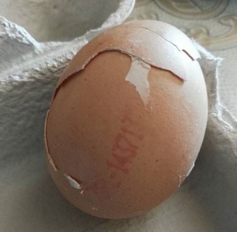 Figyelem! Erre varrjon valaki gombot!