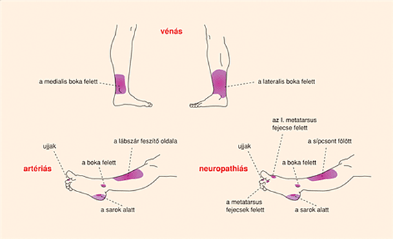 Hallottál már az értornáról? Mindenkinek hasznos!