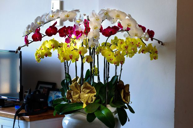 Így öntözd az orchideát és hónapokig virágzik majd 2