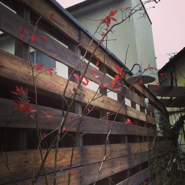 Ki ne dobd a kályhából a hamut! Ennyi mindenre használhatod 2