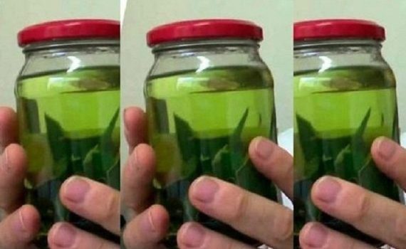 Ne pazarolj időt és pénzt! Mondj búcsút a cukorbetegségnek a koleszterinnek és a fekélynek a fügefalevél segítségével