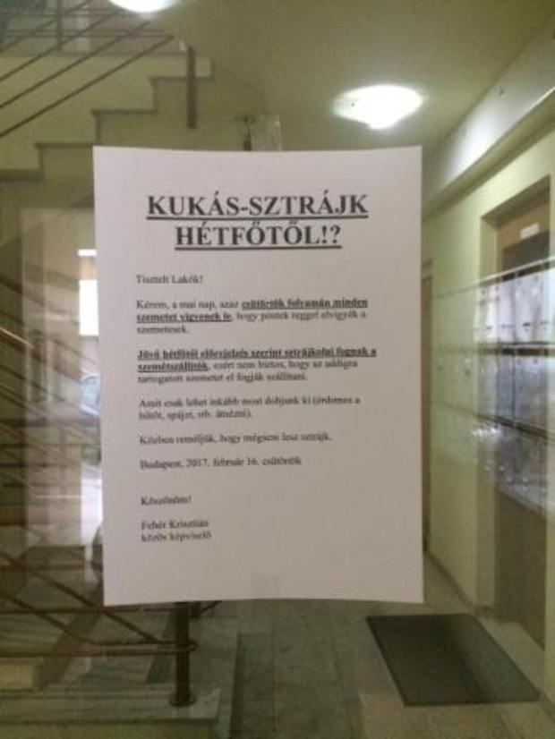 Nyakunkon a kukás sztrájk!