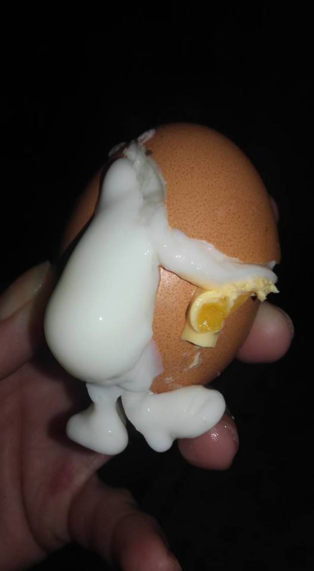 Sokkot kapott a magyar háziasszony, eszméletlen, mi bújt elő a tojásból 1