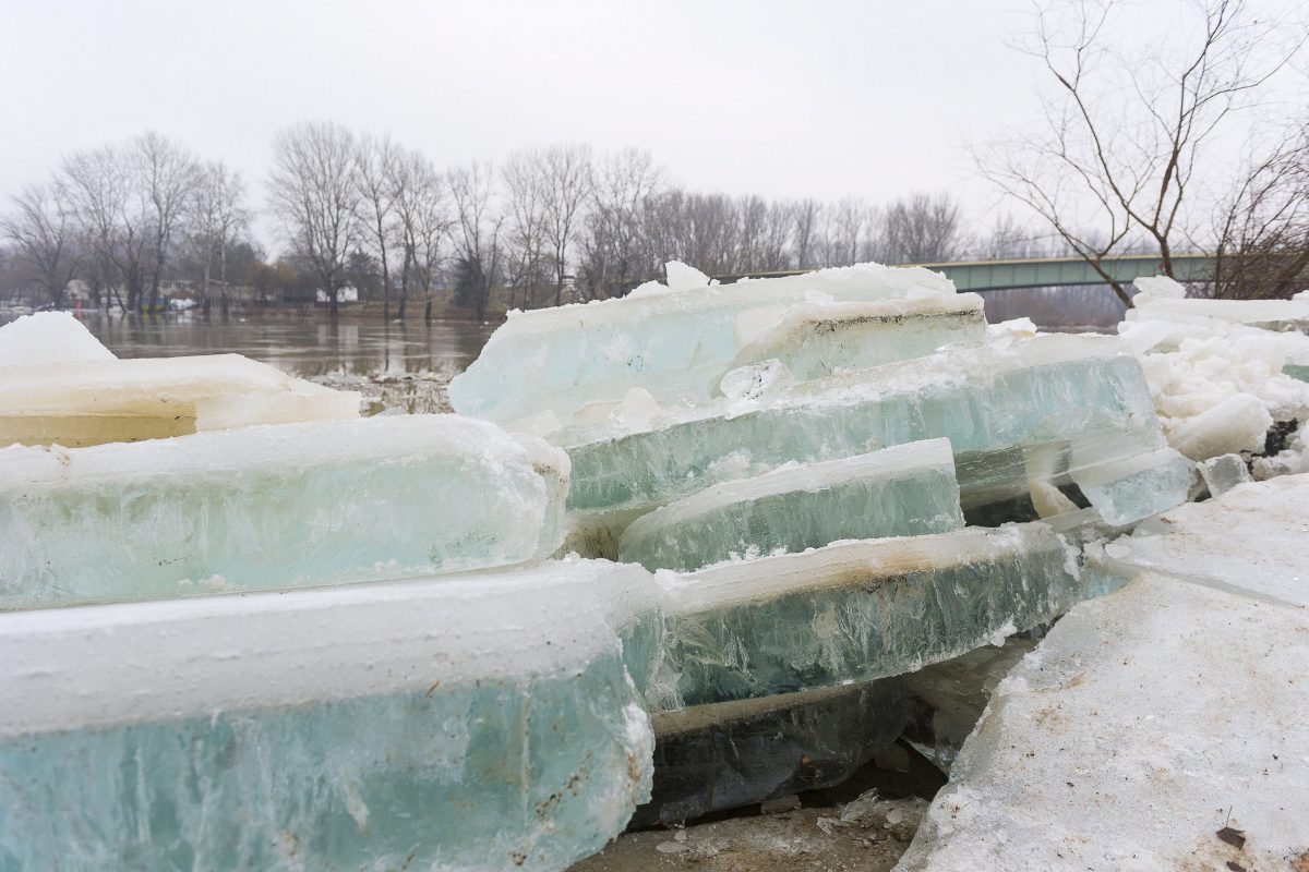 Hajókat, stégeket és vadállatokat is magával ragad a jeges ár