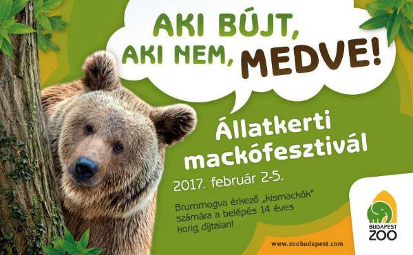 Mától mackófesztivál van az állatkertben