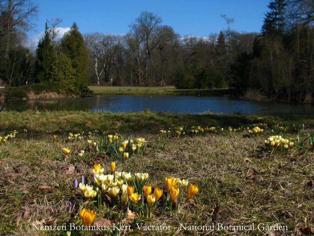 Csodálatos virágkavalkád fogad Magyarország legnagyobb botanikus kertjében