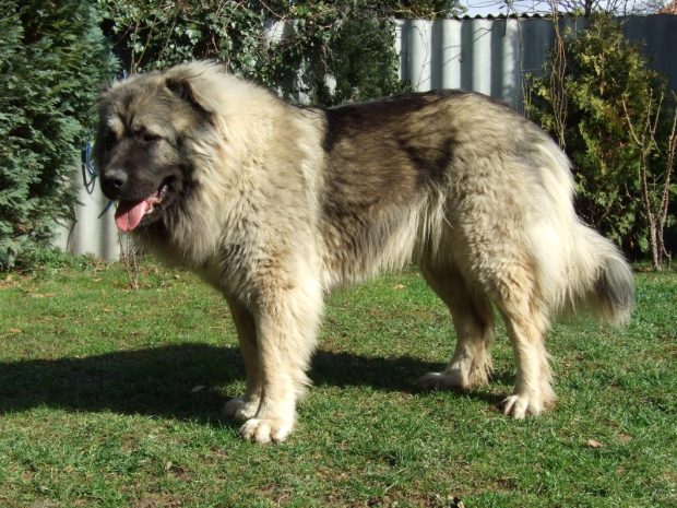 A szemétség teteje, amit egyesek megengednek maguknak... 2