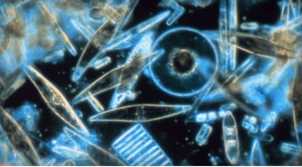 Az űrhivatal megpróbálta eltussolni ezt a különös videót De nem sikerült! - VIDEÓ 2