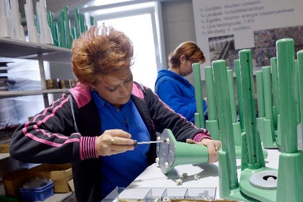 Magas a vállalatok munkaerő-felvételi szándéka