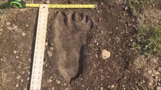 Egy vadász döbbenetes dolgot rejtegetett 64 éven át a hűtőjében - VIDEÓ