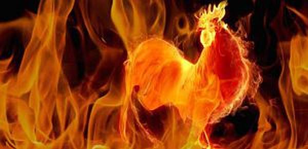 Erre számíts a Tűz Kakas évében!