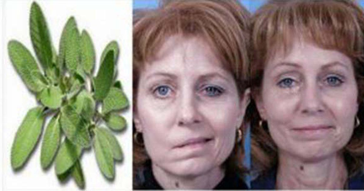 Ez a csodás kis növény gyógyíthatja a bénulást és még számos betegséget!