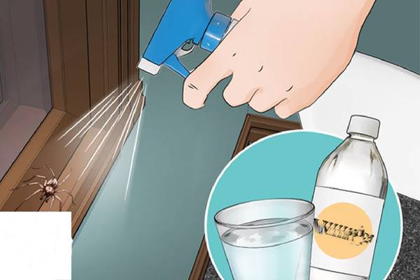 Permetezd ezt a keveréket az ajtók és ablakok köré, egész nyáron elfelejtik majd a rovarok a lakásod!