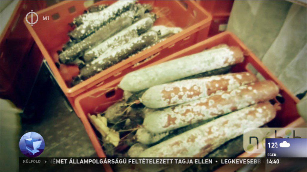 Undorító látvány fogadta a Nébih munkatársait egy húsboltban