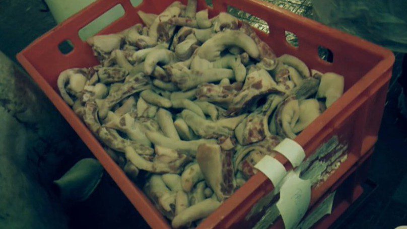 Undorító látvány fogadta a Nébih munkatársait egy húsboltban