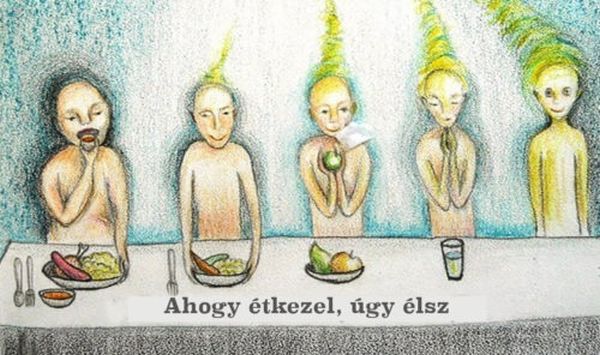 Ahogy étkezel, úgy élsz! 12 aranyszabály az étkezéshez!
