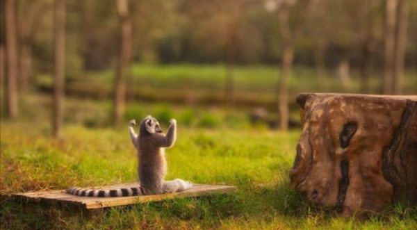 Három elhatározás, ami megváltoztatja anyagi helyzeted már mai naptól