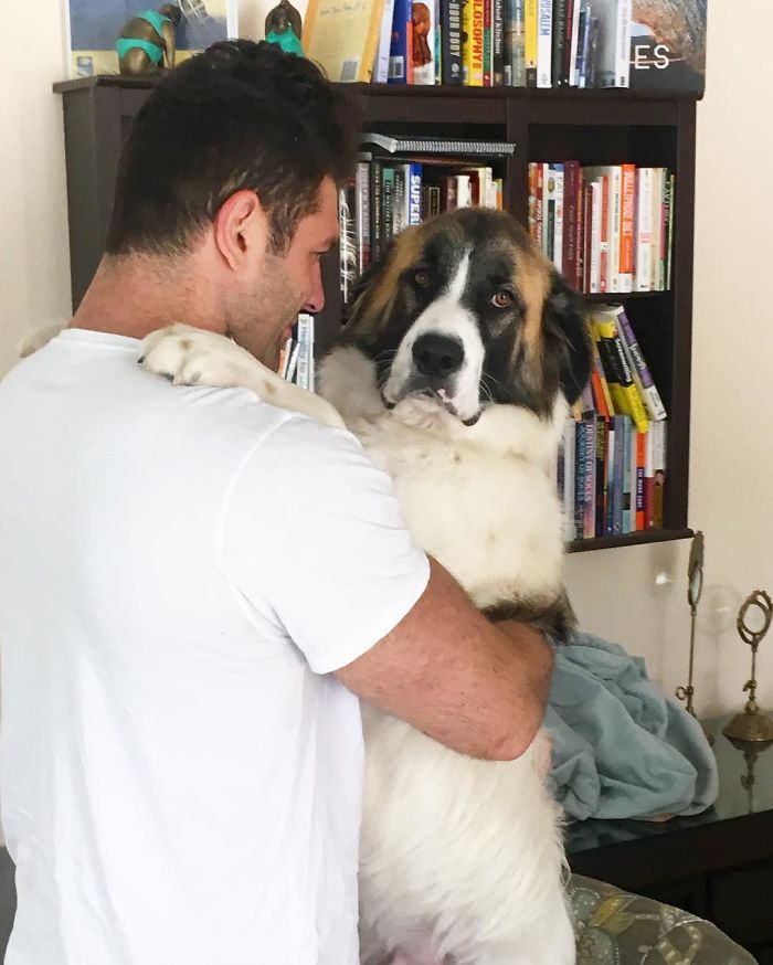 Ez a jószívű férfi folyamatosan kidobott állatokat fogad örökbe