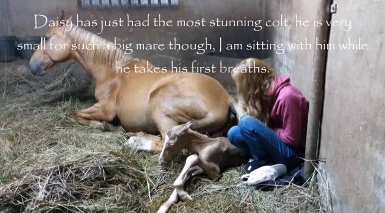 Csodálatos, nem mindennapi esemény szemtanúi lehetünk ebben a videóban