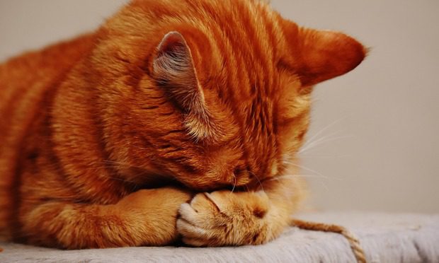 A hétvégét elmossa az eső, jönnek az év legnagyobb viharai