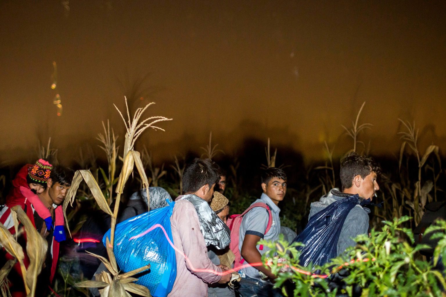 Gyilkosok és erőszaktevők jöttek a migránsokkal