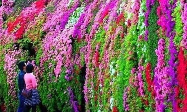 Ezért tegyél harisnyanadrágot a cserepes növények földjébe 1