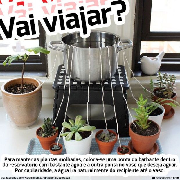 Ezért tegyél harisnyanadrágot a cserepes növények földjébe 3