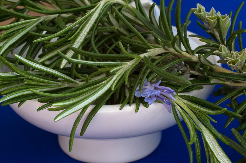 Ezt az 5 illatos növényt tartsd a lakásban nyáron! Jobbat tesz majd, mint gondolnád! 4