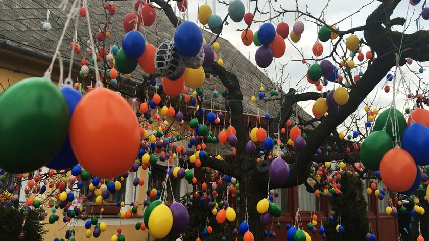 Felállították az ország legnagyobb tojásfáját