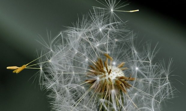 Kiadták a riasztást: viharos szelet hoz a meleg levegő