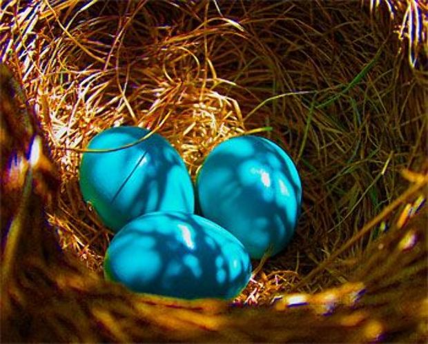 Most végre kiderül, miért a nyúl hozza a tojást 2