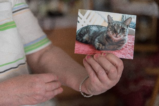 Rózsái miatt kerülhet börtönbe a 72 éves Sárika 3