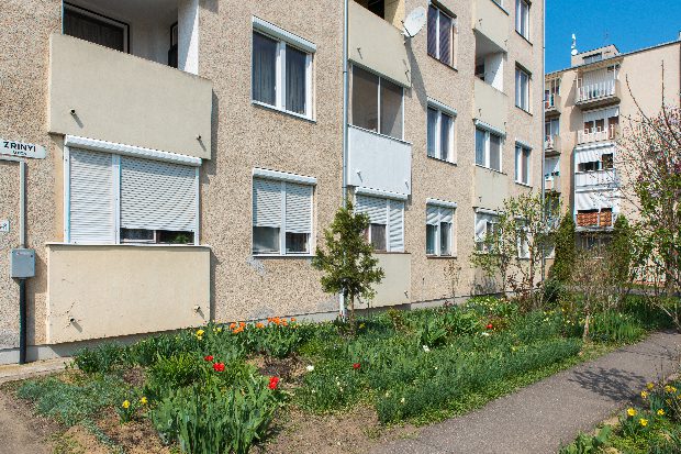 Rózsái miatt kerülhet börtönbe a 72 éves Sárika