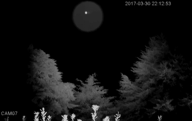 Sokkot kapott a család, amikor rájöttek mi repked éjjel a kertjükben - VIDEÓ 1