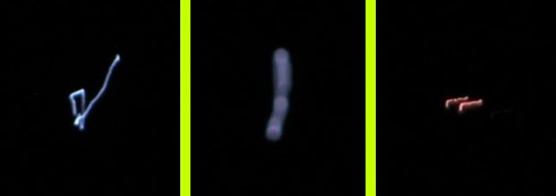 Sokkot kapott a család, amikor rájöttek mi repked éjjel a kertjükben - VIDEÓ