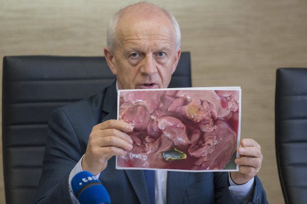 Veszélyes trópusi szalmonella a csirkemájban! 1